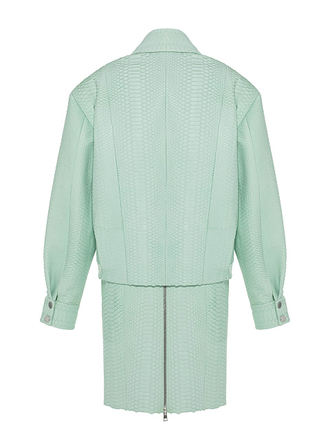 Mint Python Skin Suit, 6