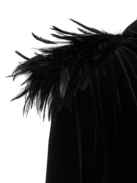 Black velvet dress with feathers, 6