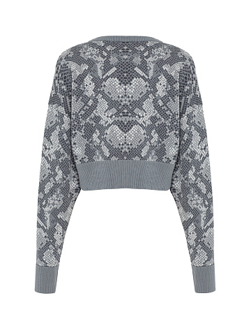 Gray Cropped Jumper With Snake Print, 2