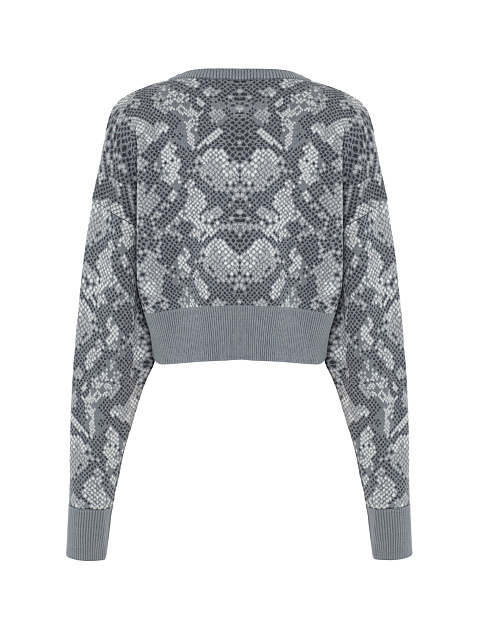 Gray Cropped Jumper With Snake Print, 2