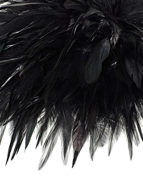 Black Feather Hat, 3