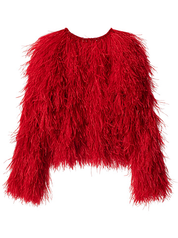 Red feather jacket, 2