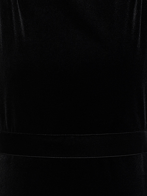 Black velvet dress with feathers, 7