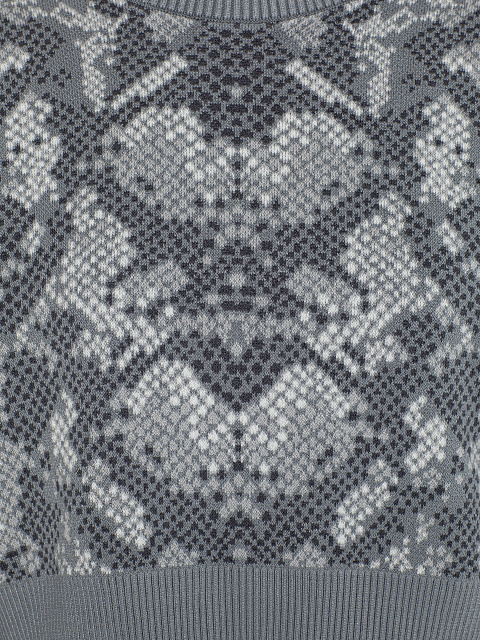 Gray Cropped Jumper With Snake Print, 3