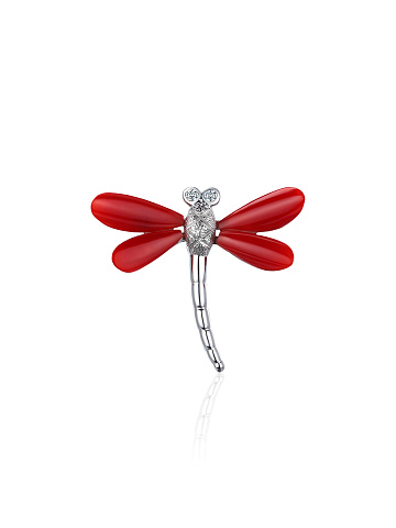 Dragonfly brooch with carved coral, 1