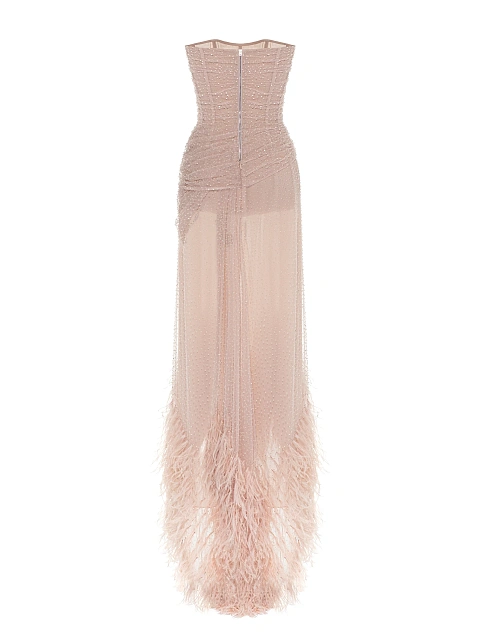Pale Pink Rhinestones & Feathers Mesh Maxi Dress, 3