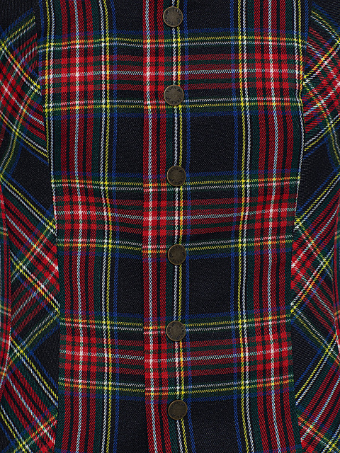 Blue & Red Checked Vest & Skirt, 4