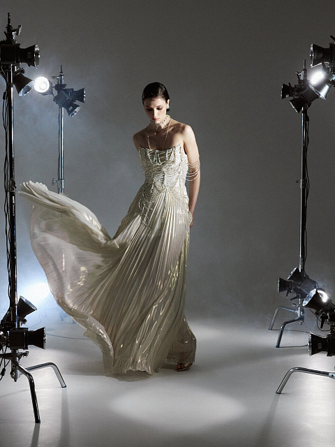 Gold Chiffon Maxi Dress With Embroidery, 5