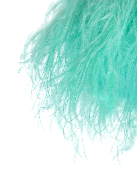 Turquoise Feather Trimmed Bra, 5