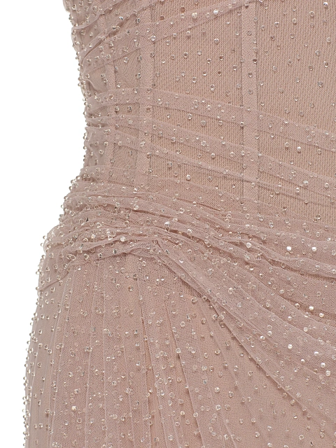 Pale Pink Rhinestones & Feathers Mesh Maxi Dress, 4