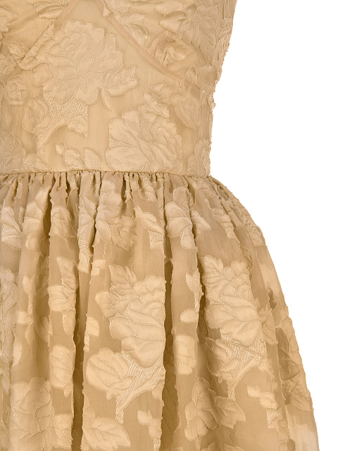 Beige Organza Midi Dress, 3