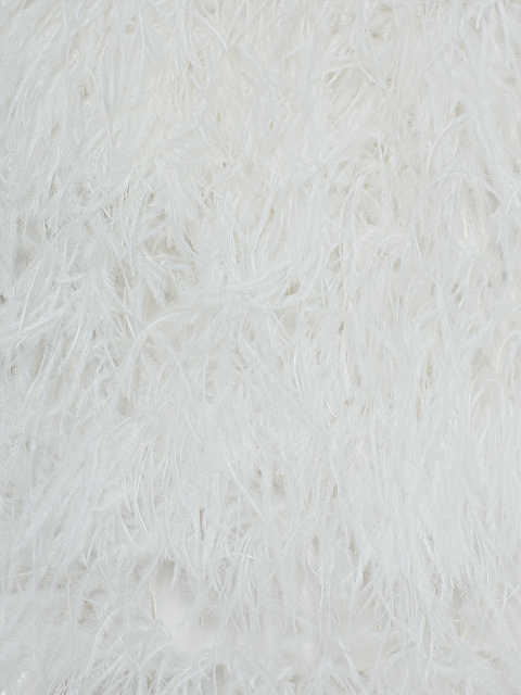 White bodysuit with feathers, 3 White bodysuit with feathers, 3