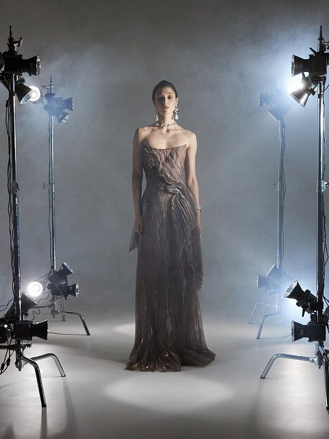 Brown Plisse Organza Maxi Dress, 7