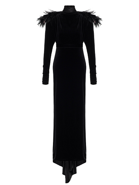 Black velvet dress with feathers, 1