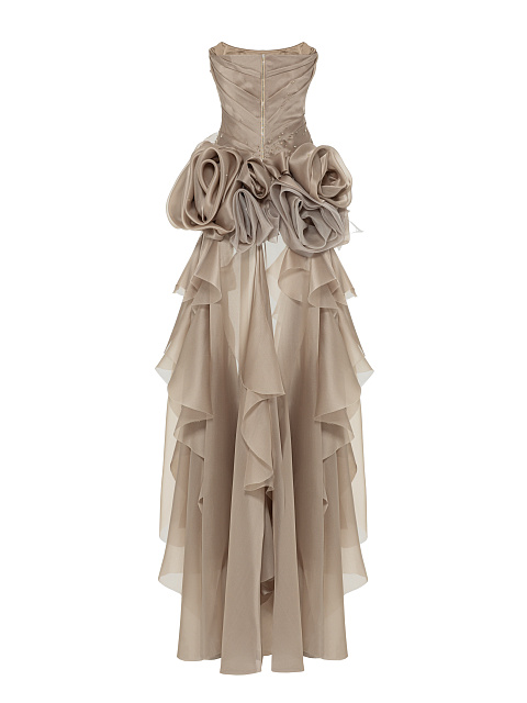 Beige Organza Maxi Dress, 3