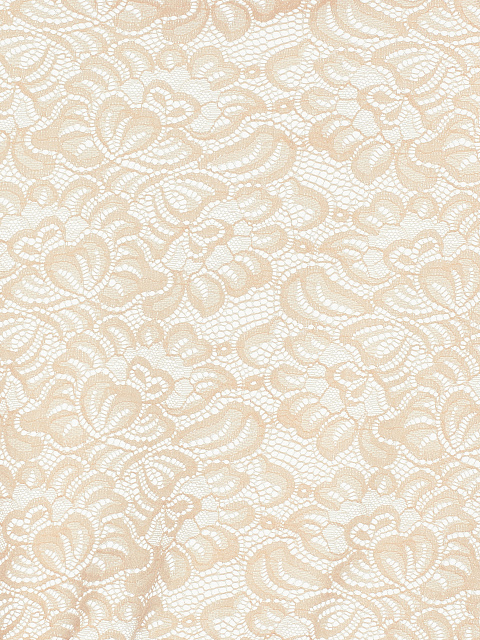 Pink Cropped Lace Blouse, 4