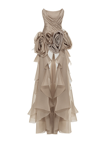 Beige Organza Maxi Dress, 1