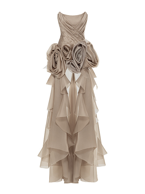 Beige Organza Maxi Dress, 1