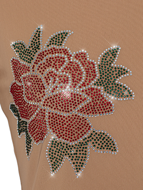 Beige Rhinestones Rose Mesh Longsleeve, 4