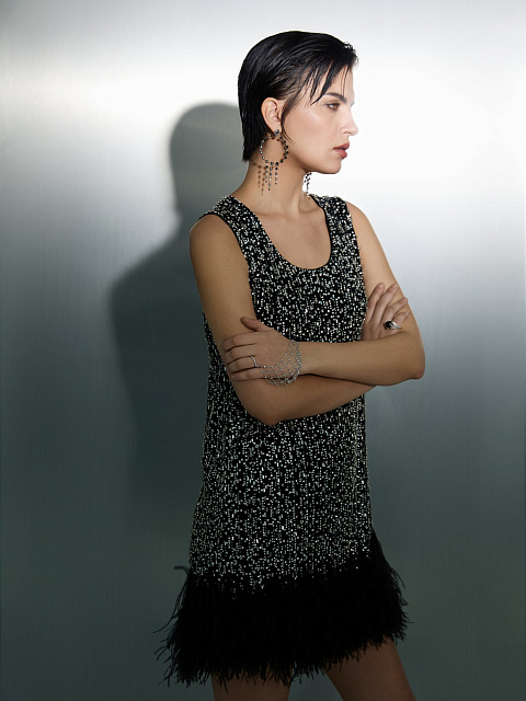 Mini dress with crystals and feathers, 7