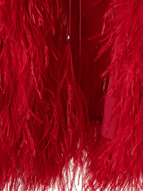 Red feather jacket, 3 Red feather jacket, 3