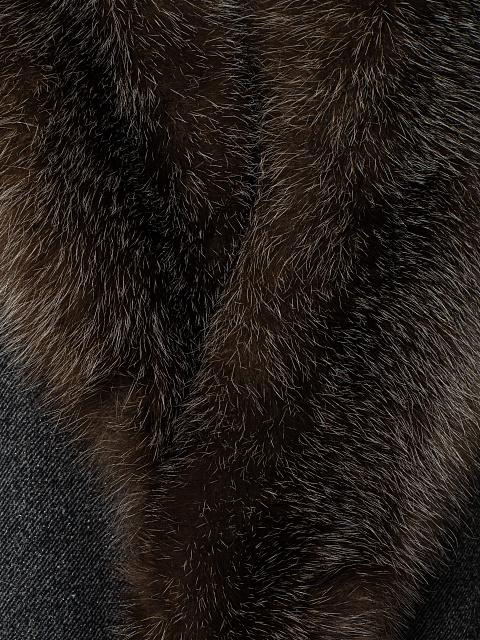 Short coat with fur collar, 5 Short coat with fur collar, 5