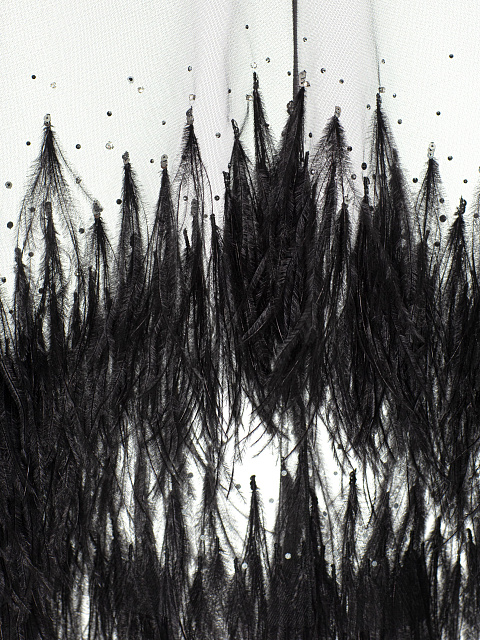 Black Mesh Maxi Dress With Feathers And Crystals, 6