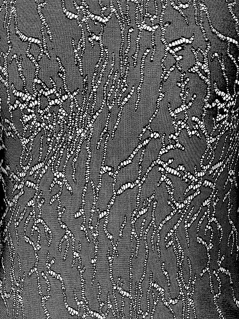 Lace bodysuit, 3 Lace bodysuit, 3