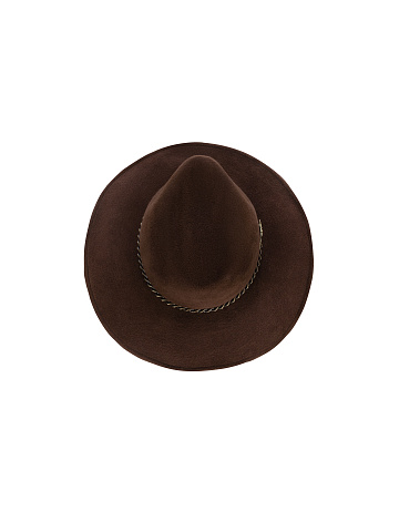Brown Felt Hat, 2