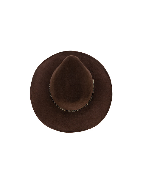 Brown Felt Hat, 2