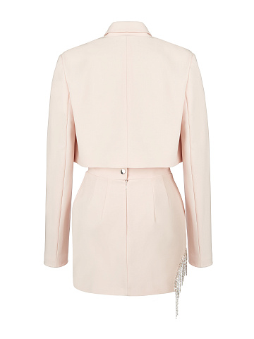 Light Rose Crystal Fringed Skirt Suit, 2