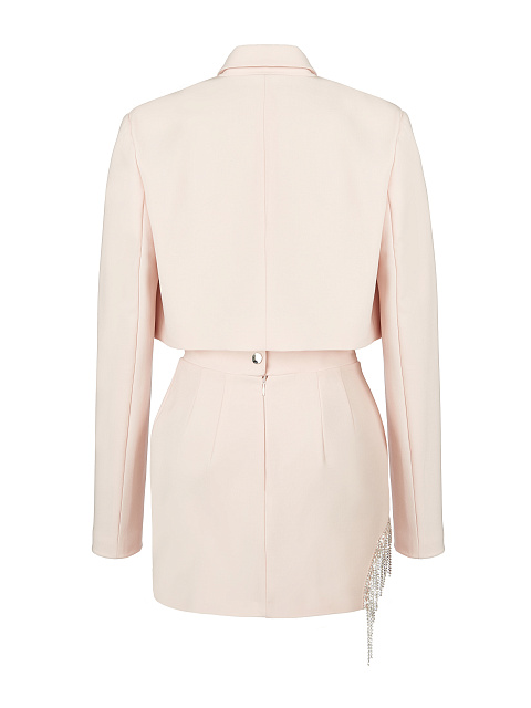 Light Rose Crystal Fringed Skirt Suit, 2