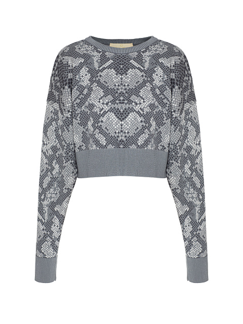 Gray Cropped Jumper With Snake Print, 1