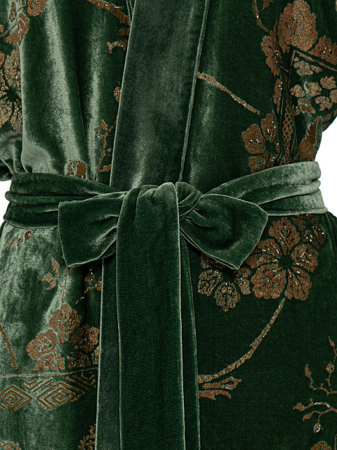 Green Embroidered Velvet Robe, 3