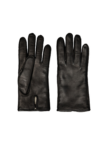 Lambskin gloves, 2