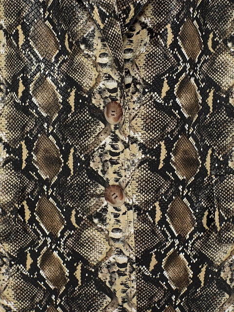 Beige Snakeskin Prined Faux Leather Jacket, 4