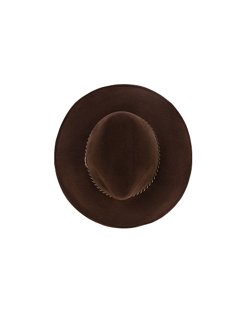 Brown Felt Hat, 4