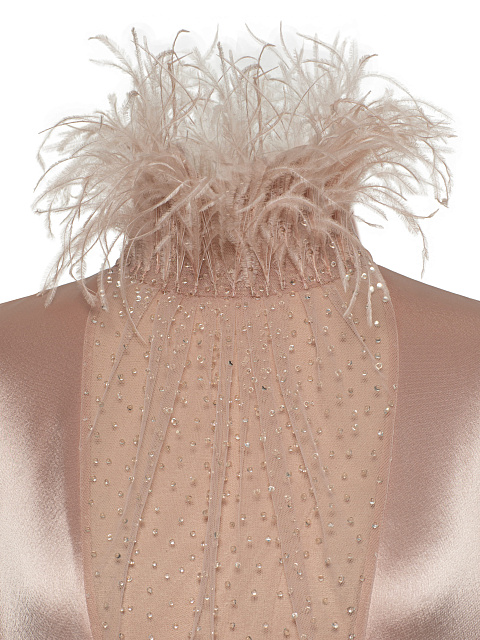 Powder Silk Maxi Dress With Feathers And Rhinestones, 4