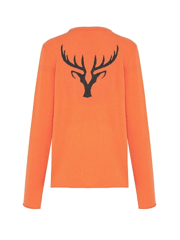 Orange Men's Cashmere Jumper With Print On The Back, 2