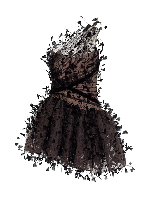 Black Feather Mesh Mini Dress, 1
