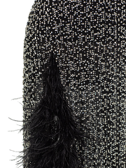 Black Mesh Maxi Dress With Feathers And Crystals, 4