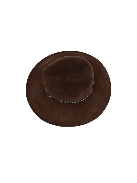 Brown Felt Hat, 3