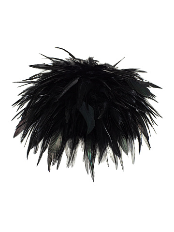 Black Feather Hat, 1