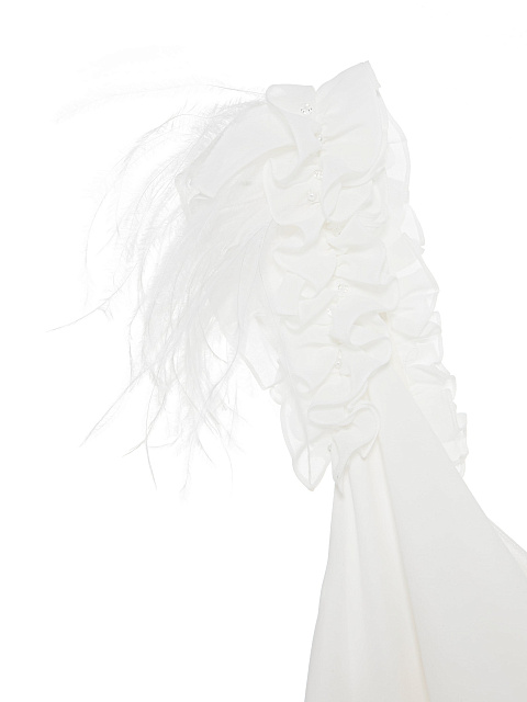 Chiffon maxi dress with feathers, 4