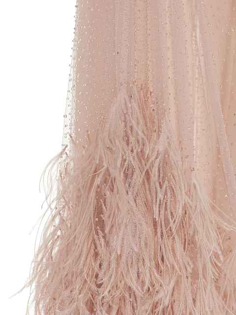 Pale Pink Rhinestones & Feathers Mesh Maxi Dress, 5