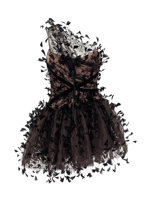 Black Feather Mesh Mini Dress, 3