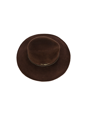 Brown Felt Hat, 1