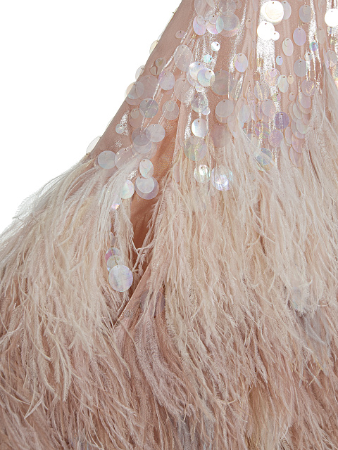 Chiffon cape with feathers, 4 Chiffon cape with feathers, 4