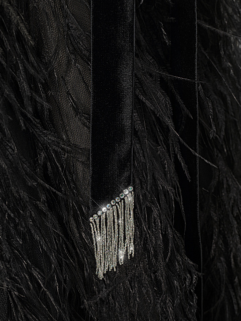Black Feather & Rhinestone Maxi Dress, 5