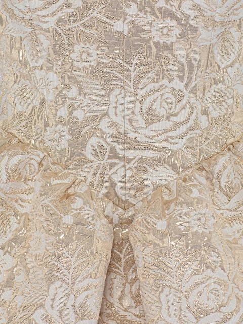 Beige & Gold Roses Brocade Mini Dress, 3